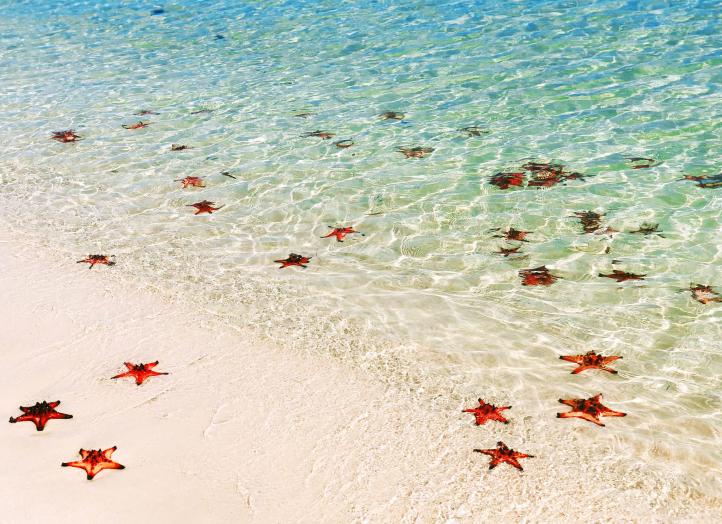 Rach Vem Island Phu Quoc 11